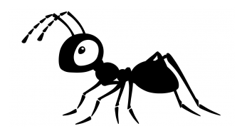 黒蟻でお困りの方、お任せくださいのアイキャッチ画像